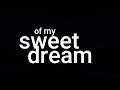 Sweet Dream - Greg Laswell (Lyrics)