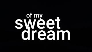 Sweet Dream - Greg Laswell (Lyrics)