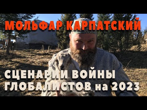 Смотреть видео на alushta24.org