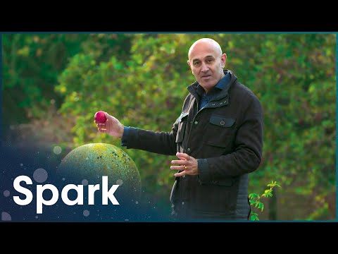 Gravity and Me: The Force That Shapes Our Lives