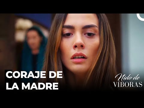 Quiero A Mi Hijo - Nido De Víboras