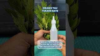 Download lagu Trik mengusir lalat #creatorkampung #tutorial #idekreatif #tips #unik #tipspraktis #diy mp3
