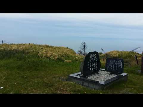 Ciervo ezo que no huye