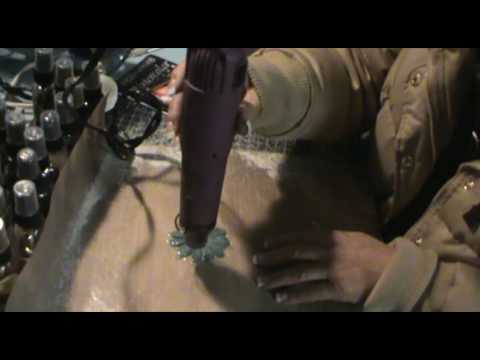 Utee Flower Part 1 - Introduction