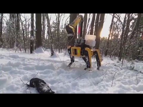 LA City Council delays vote on LAPD robot dog