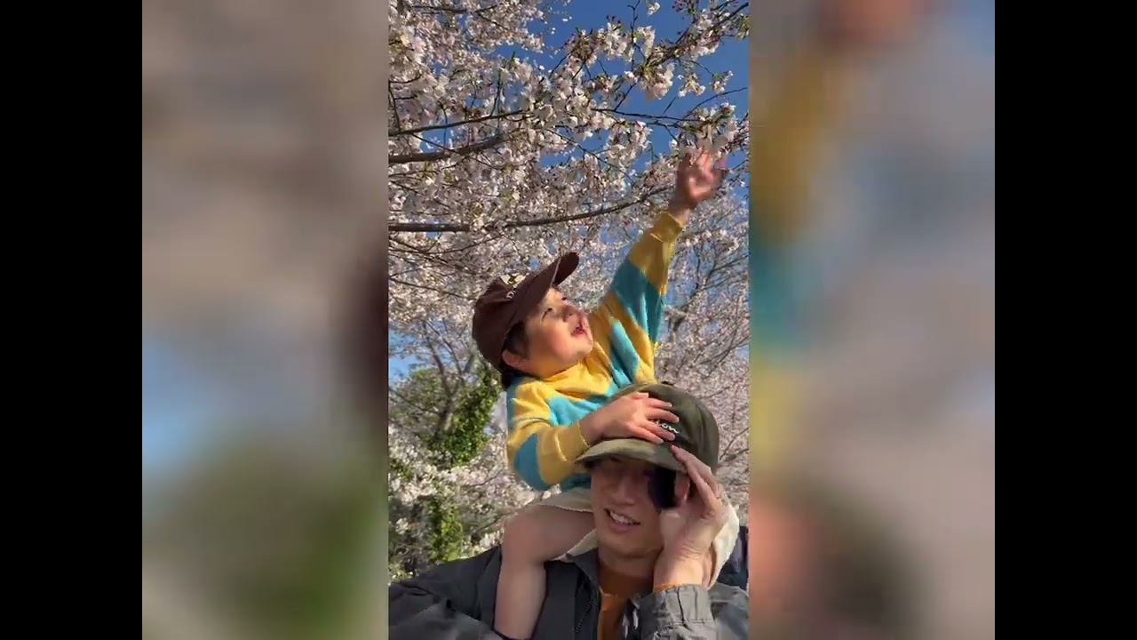 むくを追いかけるので一生懸命な春です🌸 #お花見 #桜 #春 #家族 