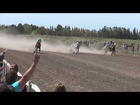 OCTAVIO  "Club Hipico Cabo Alarcon" - Picun Leufu - Neuquen - 26-02-2023