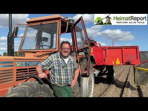 Regional statt Übersee | Kartoffelernte in Erle