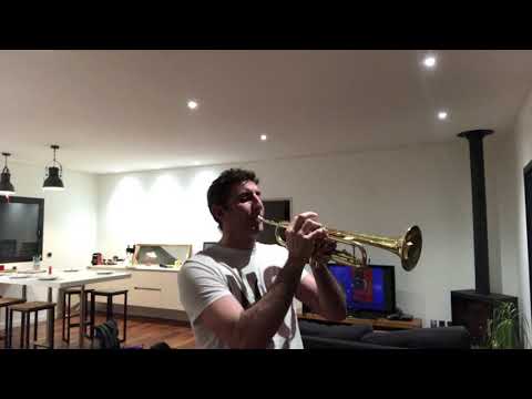 Panthère rose/ pink panther trompette