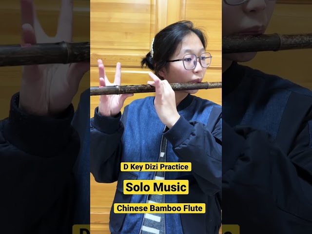 Vídeo relacionado con Btuty Flute - Pluggable Bitter Bambú Flute Dizi tradicional chino mano madera musical instrumento clave D Nivel de estudio Rendimiento