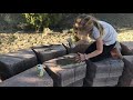 Kayla S Kinetic Mud