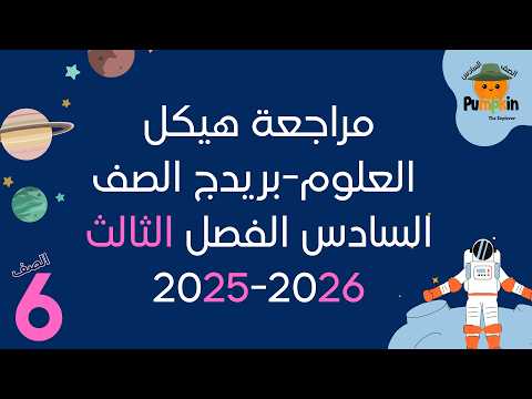 مراجعة هيكل بريدج 2025/2026
