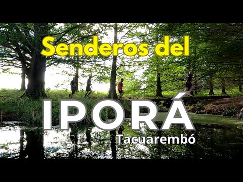 Senderos del Balneario Iporá con amigos de Tacua Runners - Tacuarembó