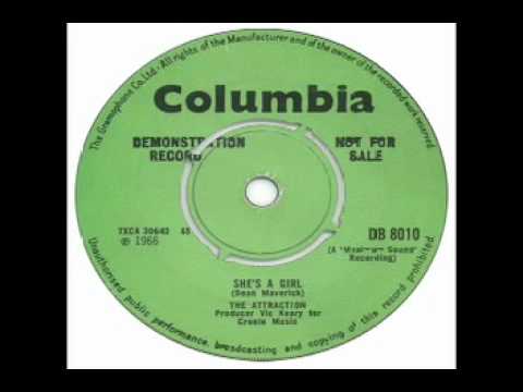 The Attraction - She's A Girl