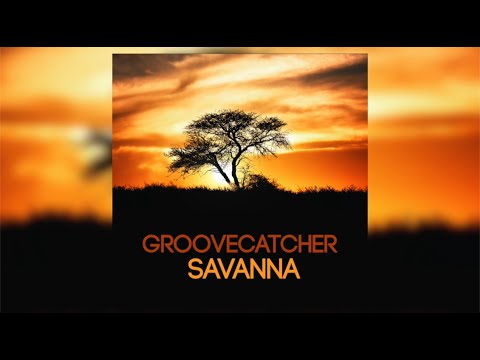 Groovecatcher - Savanna