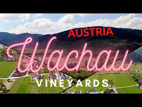 WACHAU Vineyards (Austria) in 4K. Danube Valley - wine county.