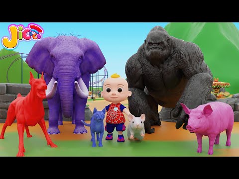 The Animals Sounds Song : Moo Moo 🐄 Oink Oink ! 🐷 Jicoco Nursery Rhymes & Kids Songs