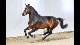 Video di Con Corneto