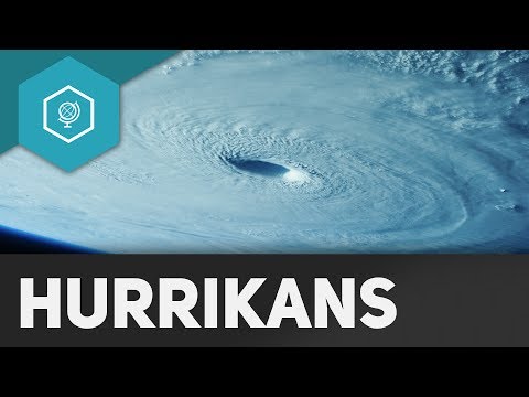 How does a hurricane form? - Weather Phenomena 1