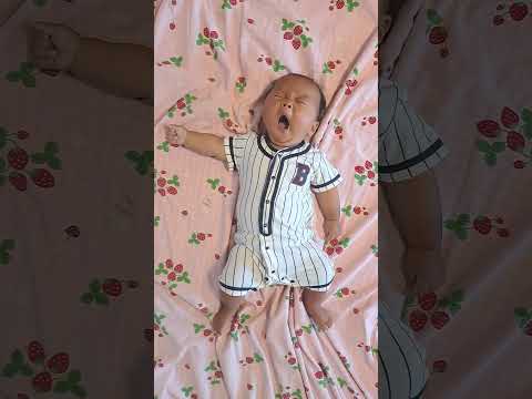 protection bassin de jardin –grillage-métallique-forme-originale