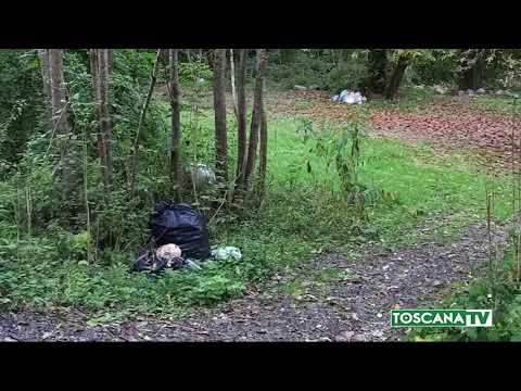 2020-10-19 LUCCA - COMUNE GALLICANO PRESO CURA AREA LAGO TURRITECAVA