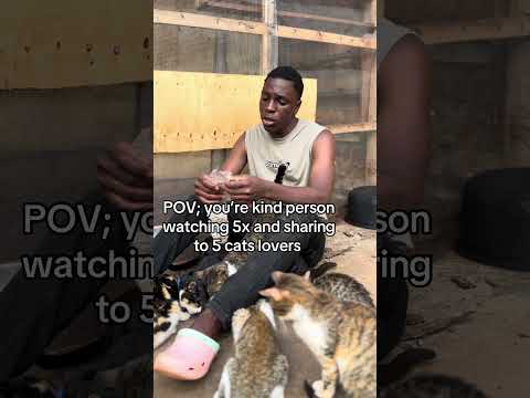 please don't sorcll my engagement is really low a simple hi will help our stray cats get food #cats