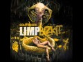 Limp Bizkit - Introbra