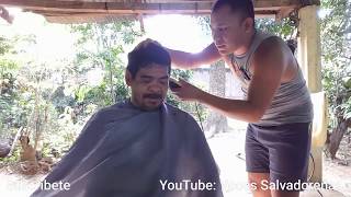 Pichi en la barbería