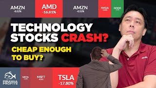Technology Stocks Crash. Cheap Enough to Buy?