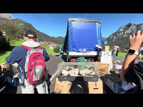 Pasturo, Lecco Italy//Part-1 Street Market @bethapego 