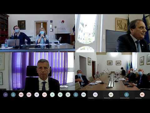 Conferenza 8 aprile: Resilienza del sistema sanitario - 1° semestre 2020