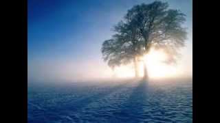 Chris Cornell Wave Goodbye