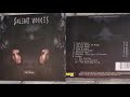 2004 Silent Voices - Infernal Full Album ( Power Metal from Finland )