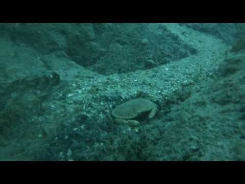 Holmavika 22 02 2014