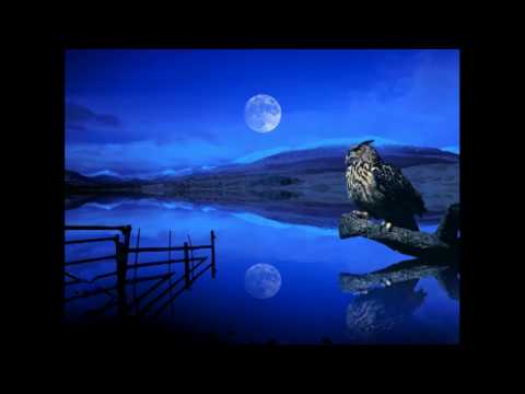 pharrell williams - Rocket's theme