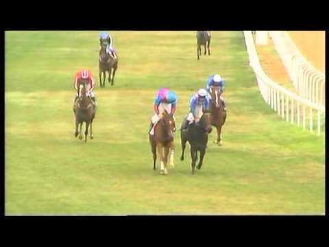 Resumen Jornada 3 de enero 2016 - Gran Hipódromo de Andalucía