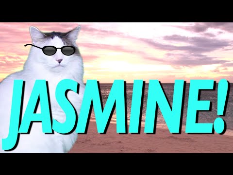 HAPPY BIRTHDAY JASMINE! - EPIC CAT Happy Birthday Song