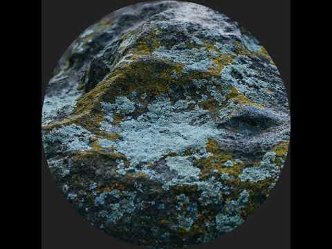 MNMT Premiere: Adhémar – Frost On The Trees