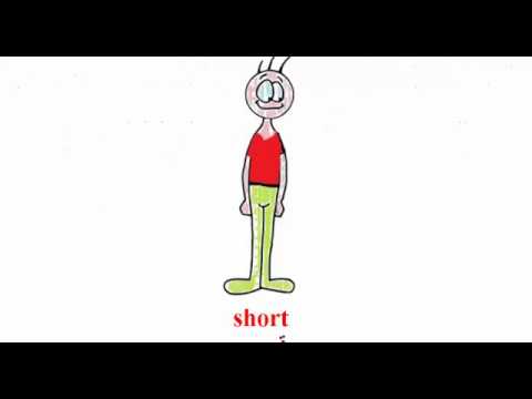 الدرس الثالث,الوحدة 9 ,الصف الثاني الإبتدائي ,الترم الثاني English
