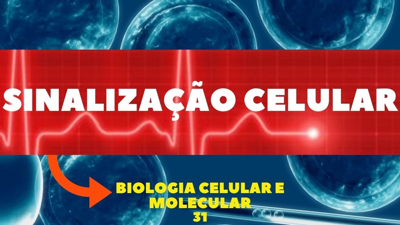 SINALIZAÇÃO CELULAR (COMUNICAÇÃO CELULAR) - BIOLOGIA CELULAR E MOLECULAR - RECEPTORES CELULARES