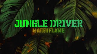 Cover art for jungle driver