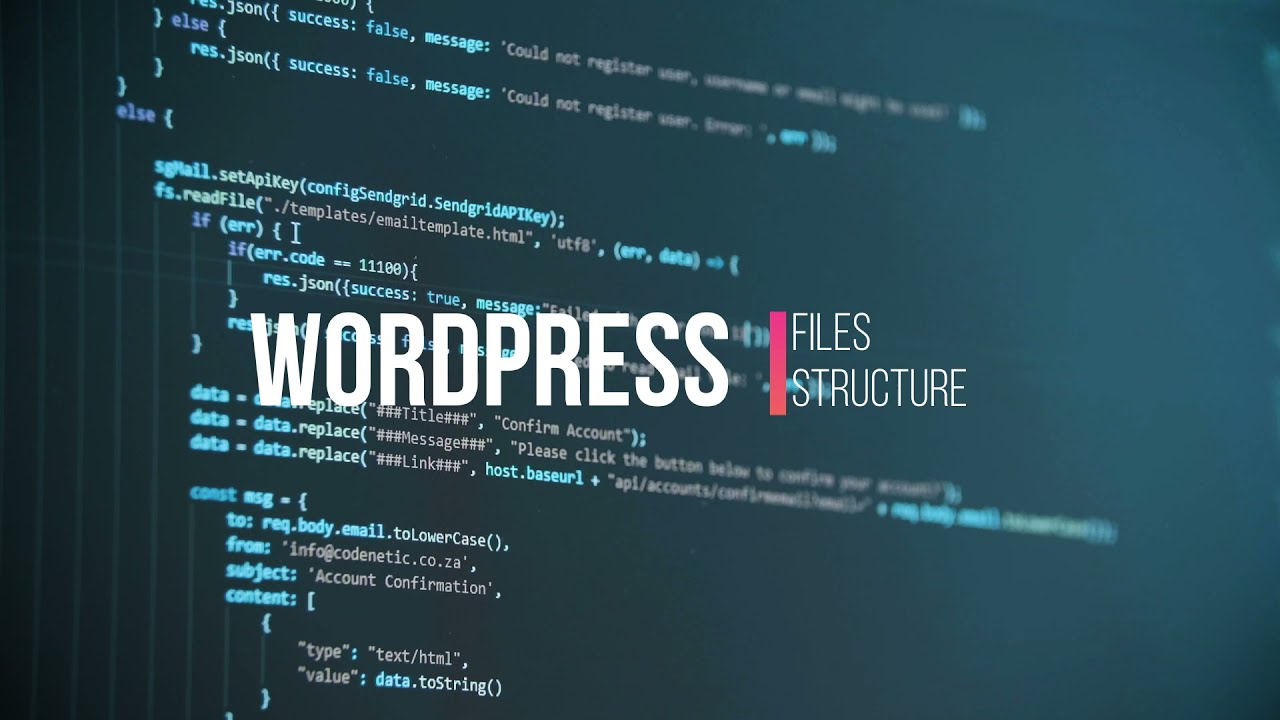 WordPress files and folders Explained | WP Files Structure