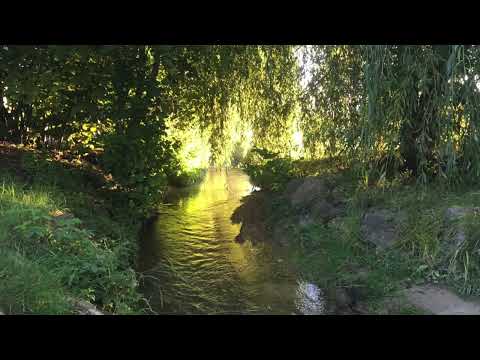 5Rhythmen Open-Wave mit Live-Musik - Soulspace Thun 1.Okt.22