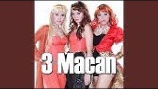 Download lagu 3 Macan - Wonder Woman (Karoke) mp3 Download lagu 3 Macan - Wonder Woman (Karoke) mp3
