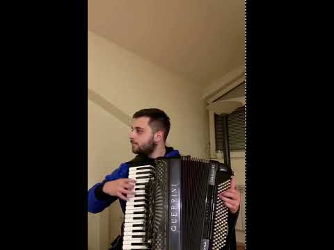 Dimitar Mitrovski  /MK🇲🇰🇲🇰/ akordeon