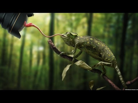 | !*best photography*! |Top 10 Photo Gallery 2016 - The World's Best Trips, Adventures Photo