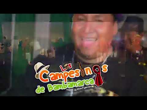 HUAYNO REGUETONERO. LOS CAMPESINOS D B. (AUREX)