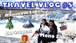 preview picture of video 'A Christmas Adventures Travel Vlog || Winter 2017'