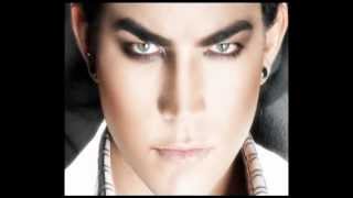 My obsession - Adam Lambert