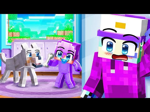 9 Dark Secrets About Baby Dash in Minecraft…